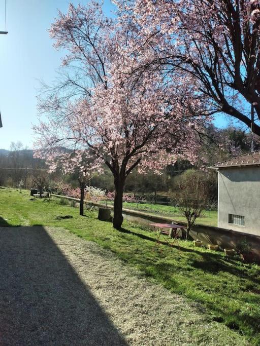 La Casa Rossa -dimora Di Campagna
