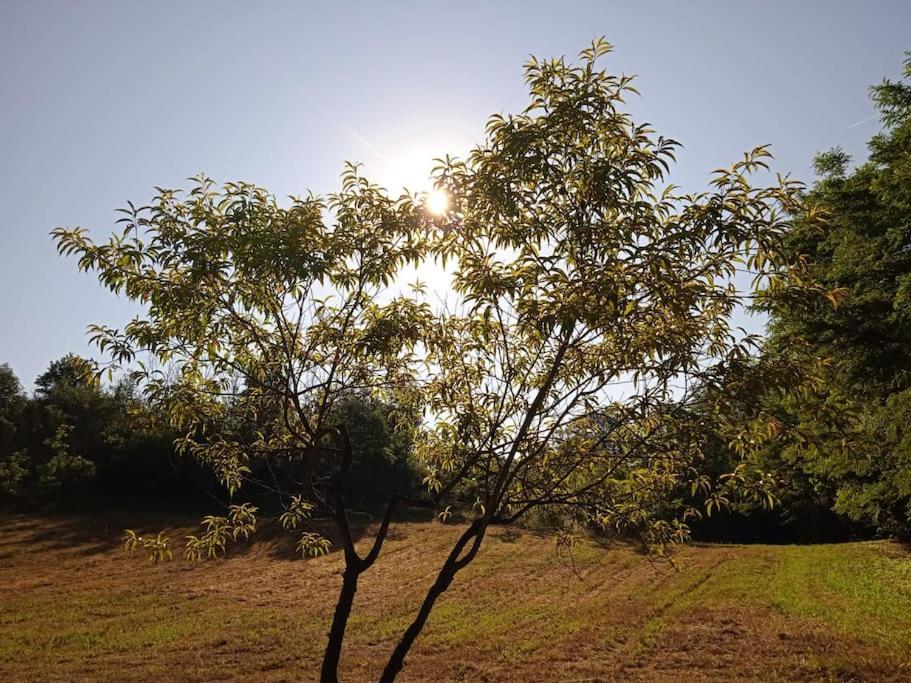 La Casa Rossa -dimora Di Campagna Montechiaro D'acqui