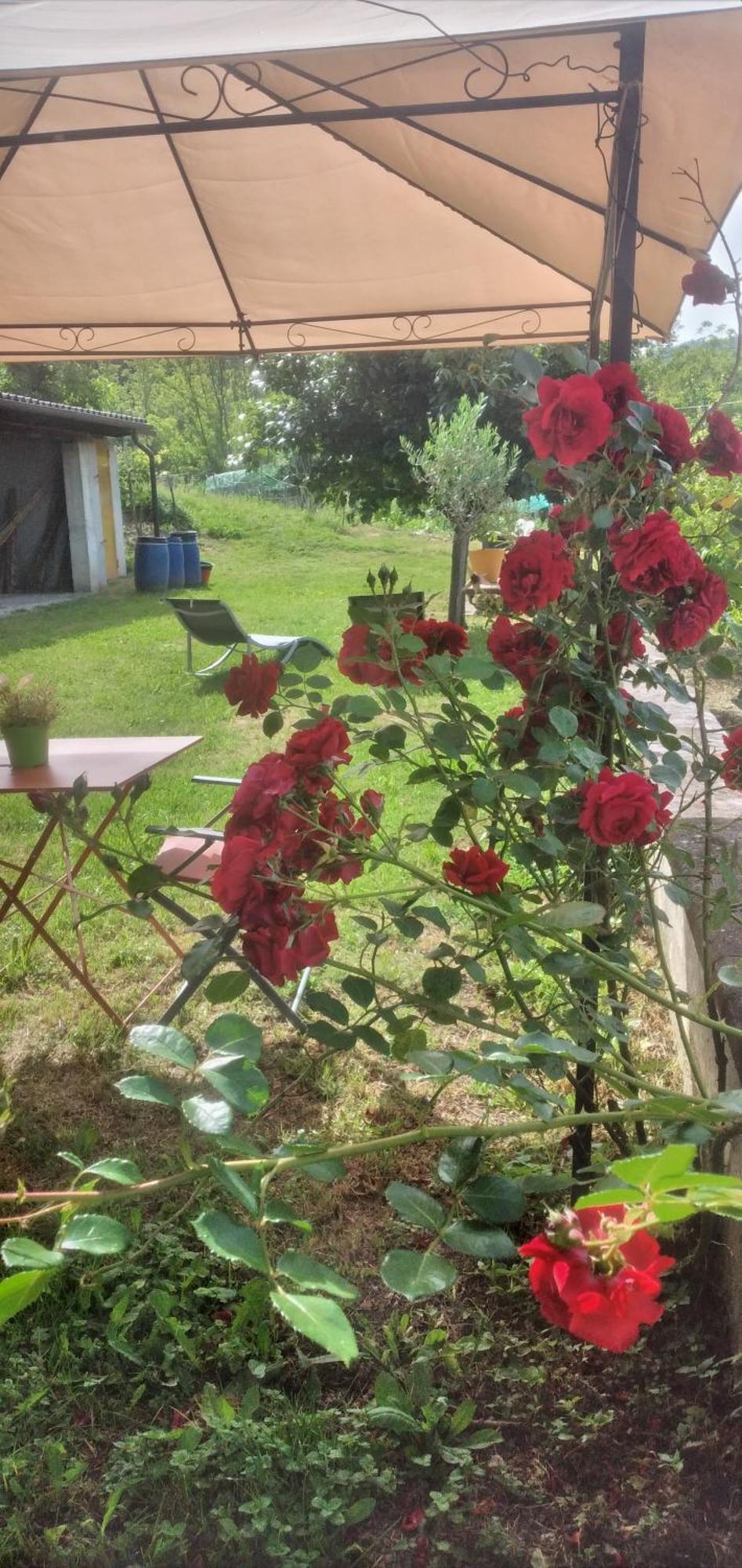 La Casa Rossa -dimora Di Campagna * Montechiaro D'acqui